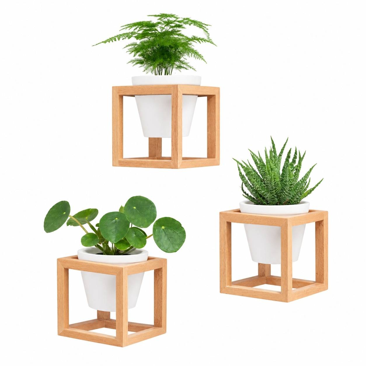 Jardinières Murales avec Pots en Céramique et Cadres en Bois - Image 1