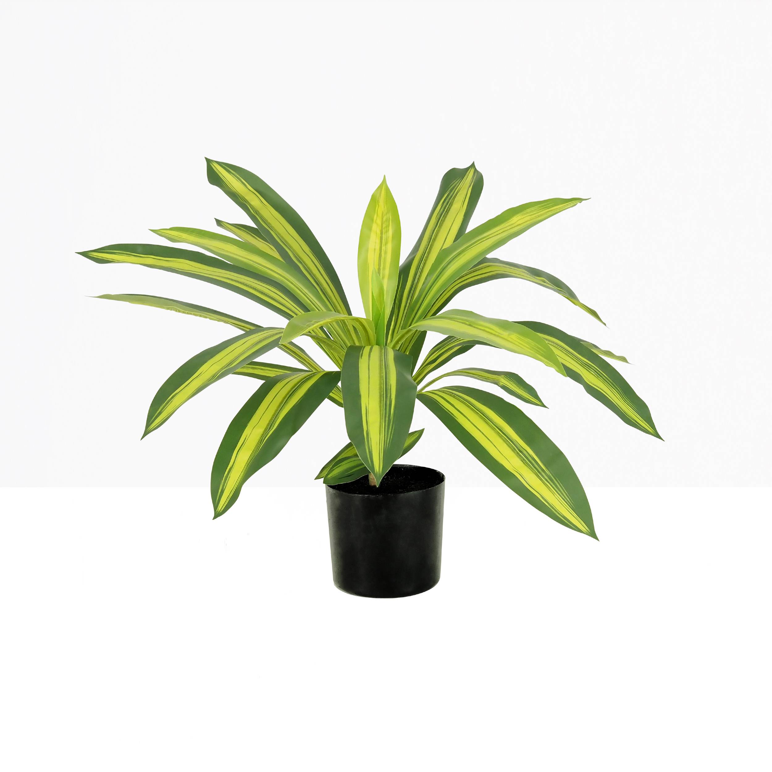Ligne Deco - Dracena artificiel 50cm - Image 2