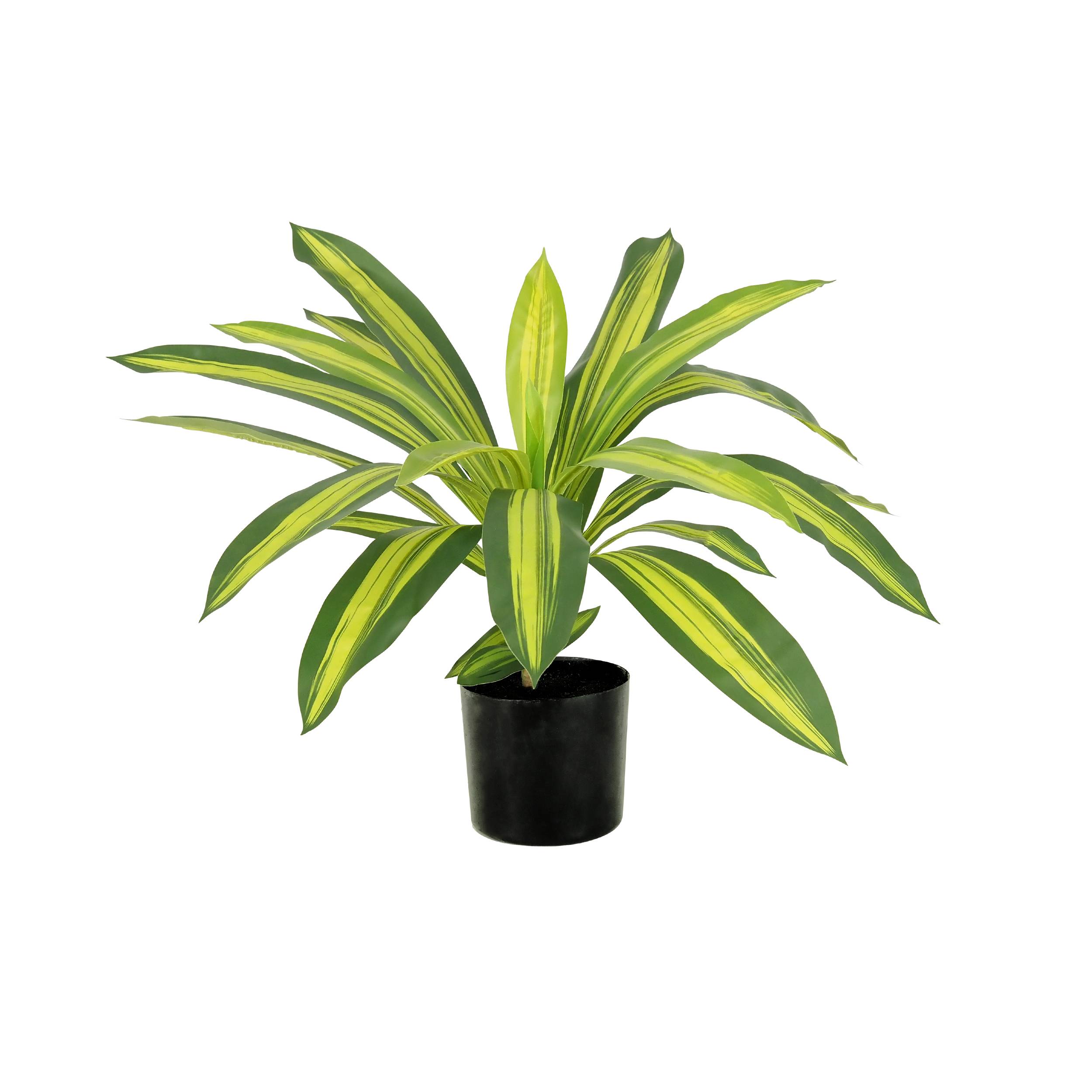 Ligne Deco - Dracena artificiel 50cm - Image 1