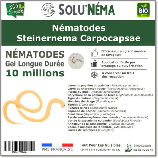 SOLUNEMA - Nématodes Steinernema Carpocapsae - 10 Millions - Image 1