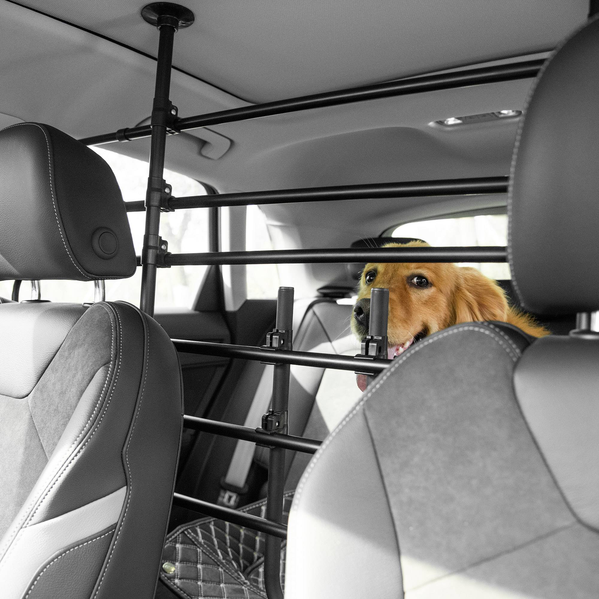 Barrière De Voiture Pour Chien - Filet Séparation Avec Corde Pour SUV Et Berlines