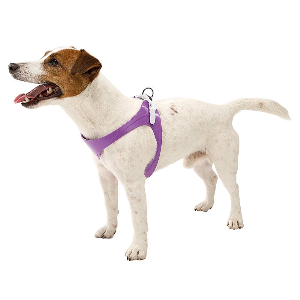 Ferplast - ERGOFLEX P L Harnais pour chien A: 53÷61 cm - B: 57÷65 cm Violet - Imagen 3