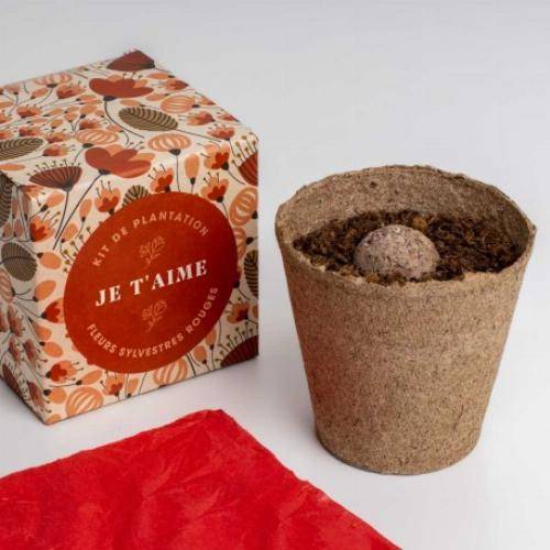 Kit de plantation Dites-le avec des Fleurs - Orange - Imagen 5