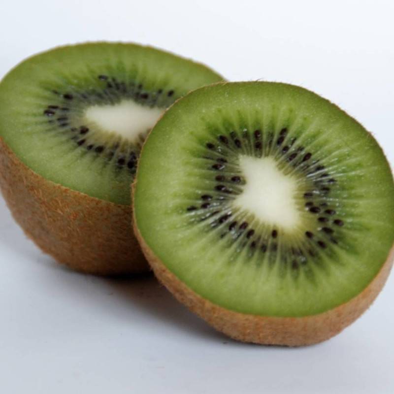 Kiwi chinensis Solissimo® 'Renact' (Autofertile) à fleurs Jaune - feuillage Caduc - Godet - 5/10 cm-  hauteur à maturité De 3,00 m à 5,00 m - Imagen 2