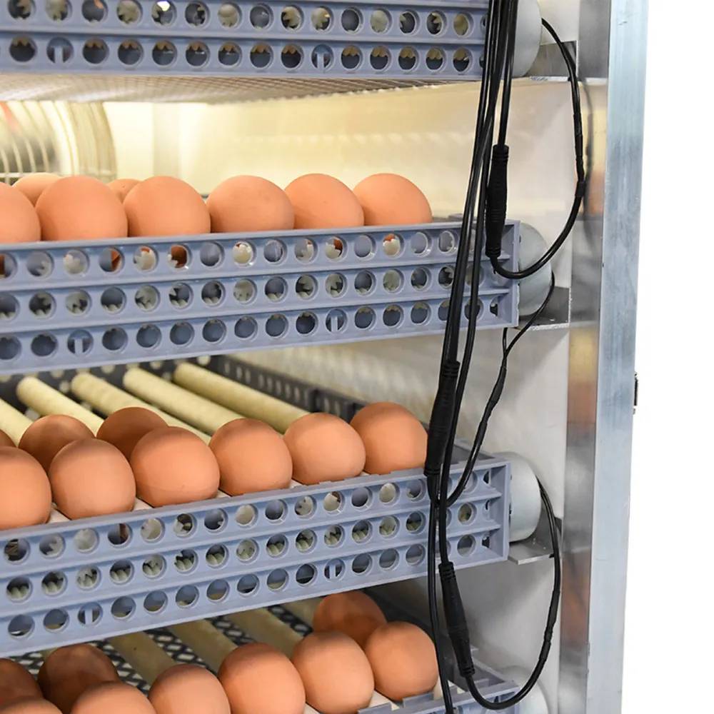Couveuse automatique Couvitech Pro Expert 224 œufs de poule - Image 10