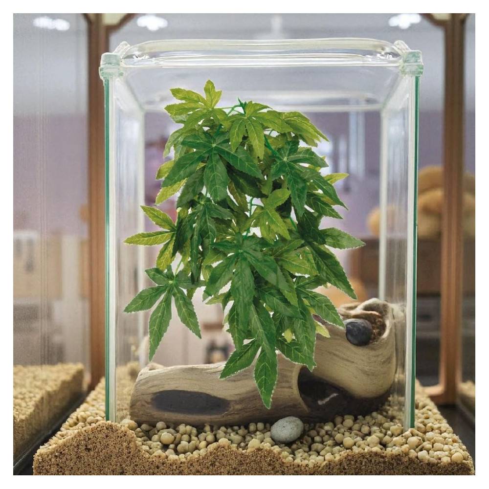 Trixie - Plante tissu à suspendre 30 cm, avec ventouse, Abutilon, pour reptile ou amphibien - Imagen 2