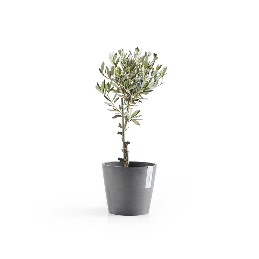 Ecopots - Pot Rond Amsterdam 20 Gris - Ø 20 x H. 17,5 cm - 4 L ECOPOTS - Imagen 3