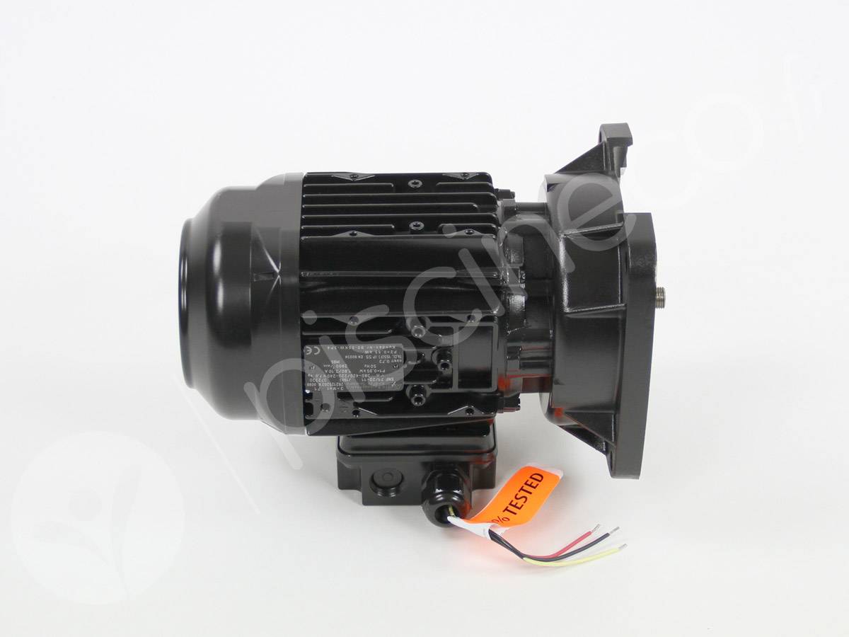 Moteur pour pompes La Sta-Rite 0,75 CV Tri - Pentair - Imagen 5