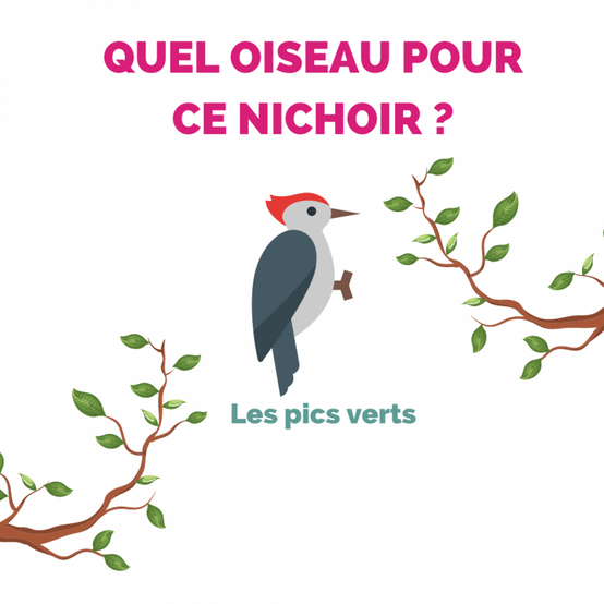 Aubry Gaspard - Nichoir oiseaux rond maison en bois - Aubry Gaspard - Image 2