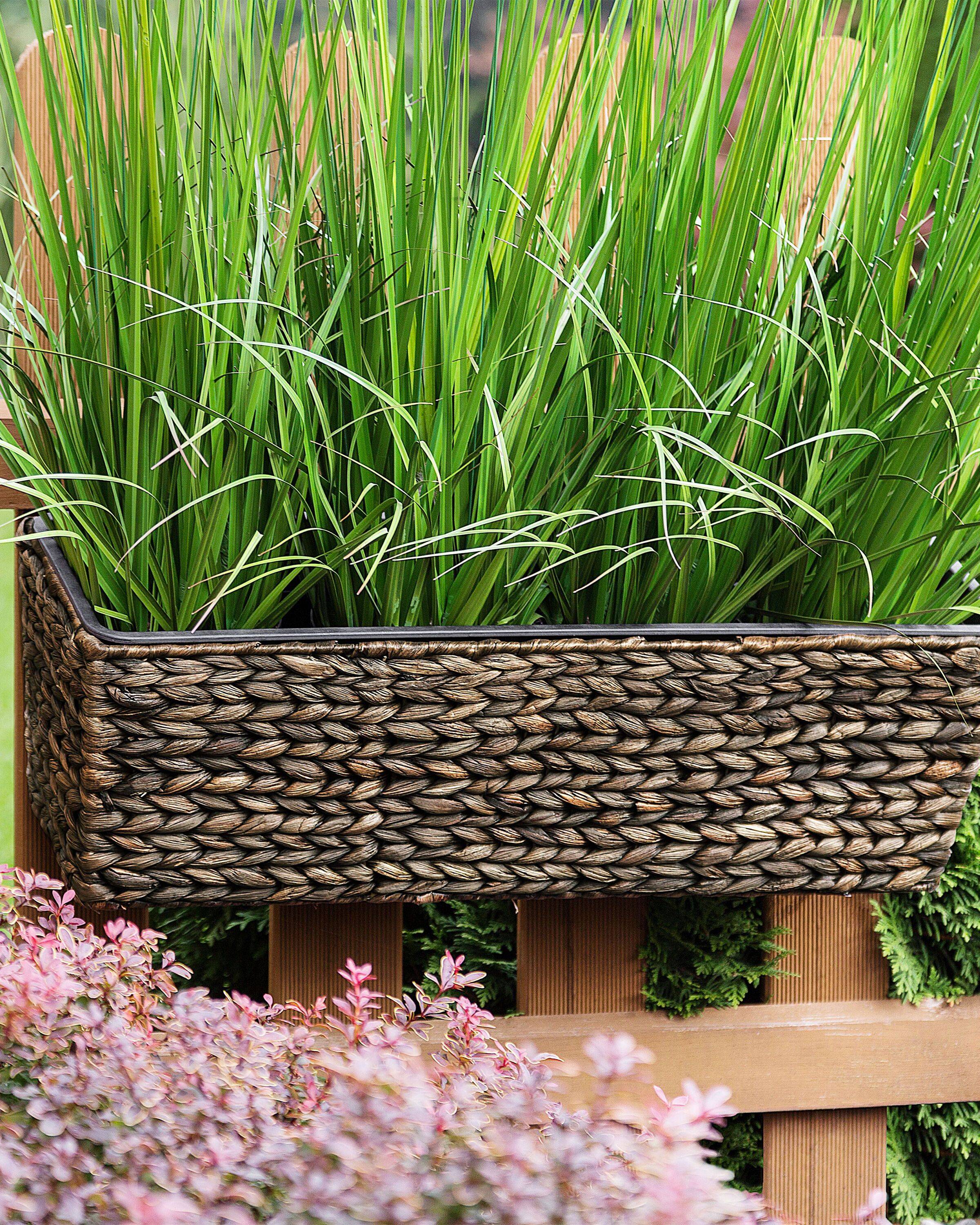 Beliani - Jardinière Pot de Fleurs Rectangulaire de Type Panier en Fibres Naturelles Idéal pour Balcon Terrasse ou Jardin Boho (Bohème) et Campagne Beliani - Imagen 2