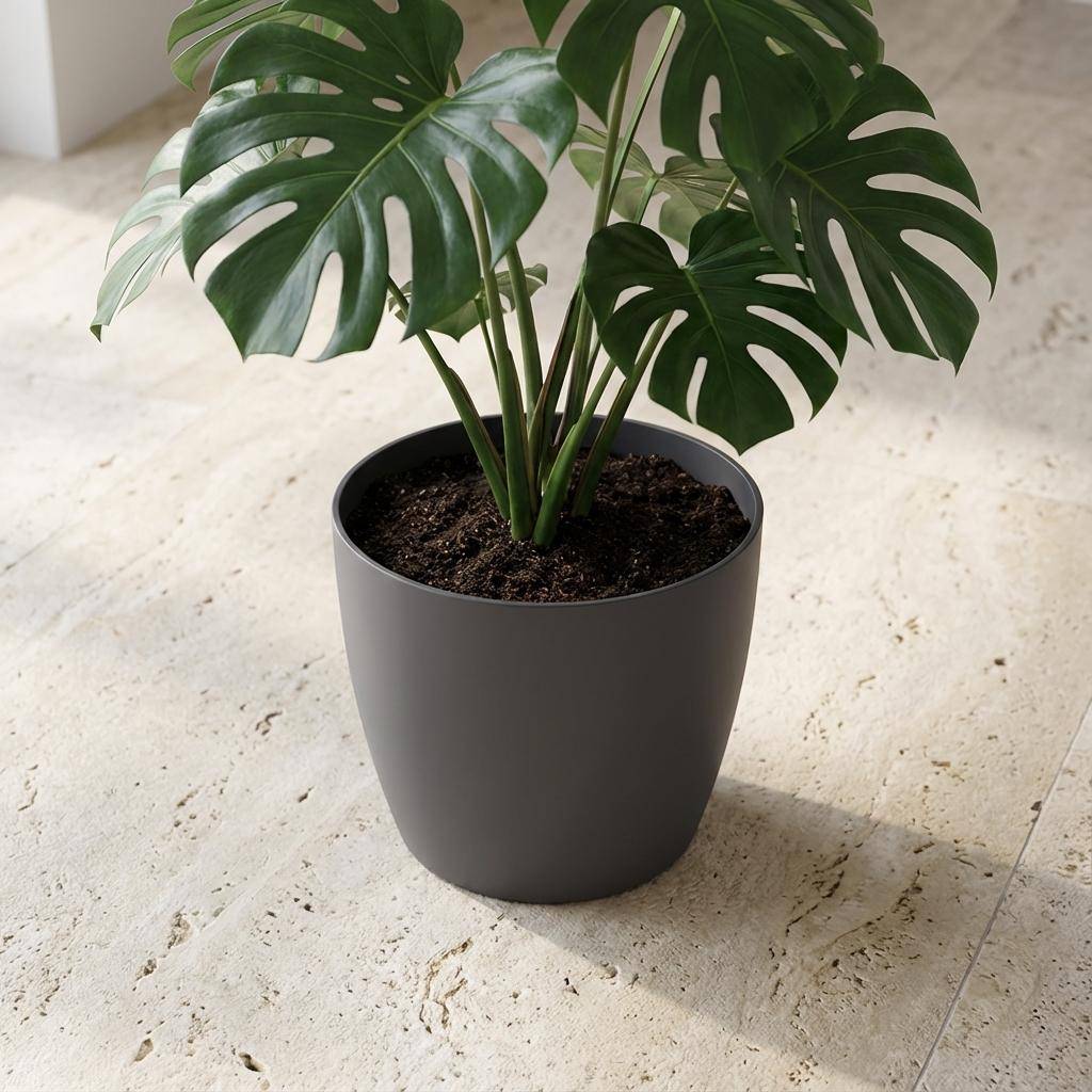 Pot de fleurs elho Brussels rond anthracite - D.25cm - Image 4