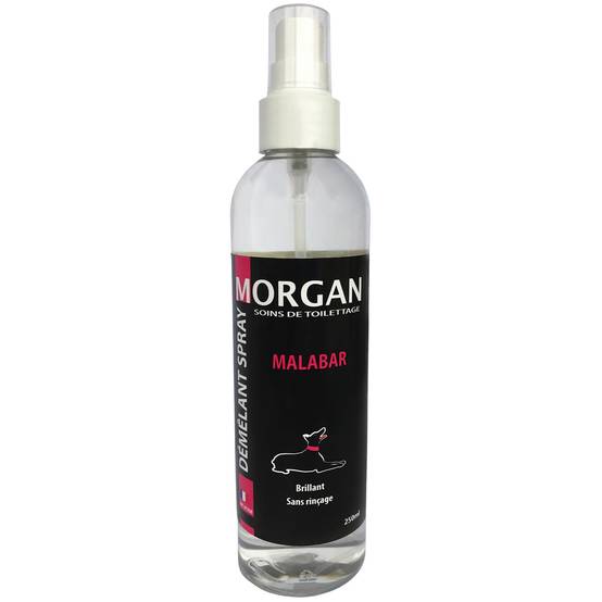 Spray démêlant senteur Malabar Morgan MORGAN