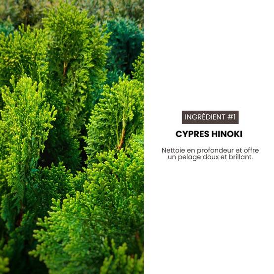 Shampoing sec hypoallergénique pour chiens et chats 190 ml HYPONIC - Image 3