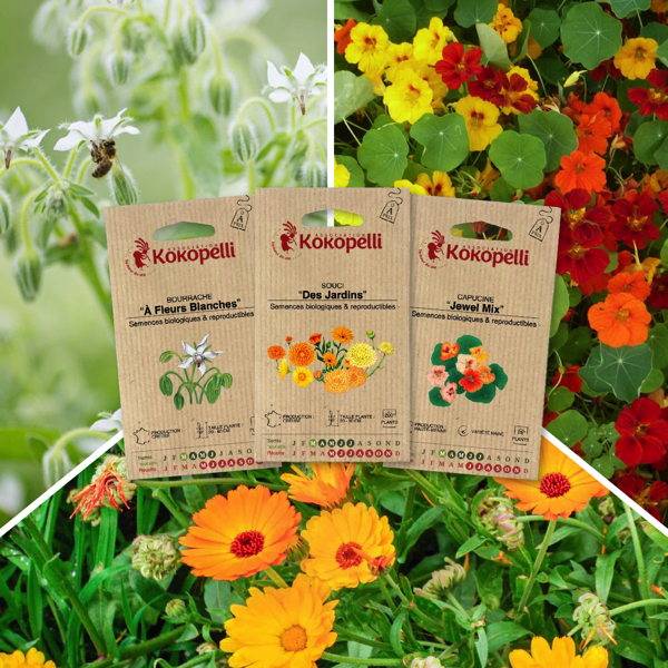 Fleurs comestibles - 3 sachets de graines bio à semer - Imagen 1