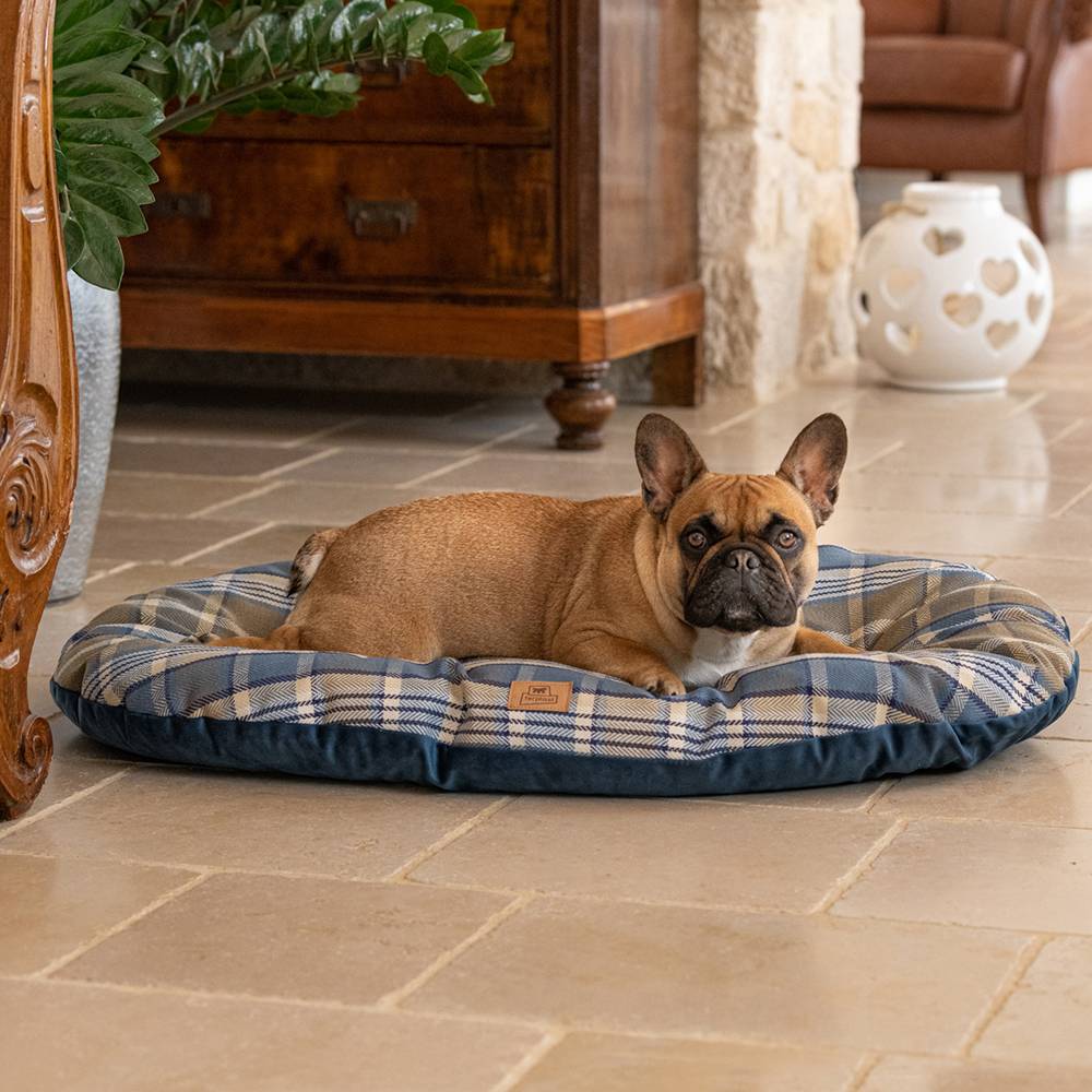 Ferplast - Coussin rembourré pour chiens et chats SCOTT 89/10, double-face, écossais, velours doux, lavable, Bleu - Imagen 4