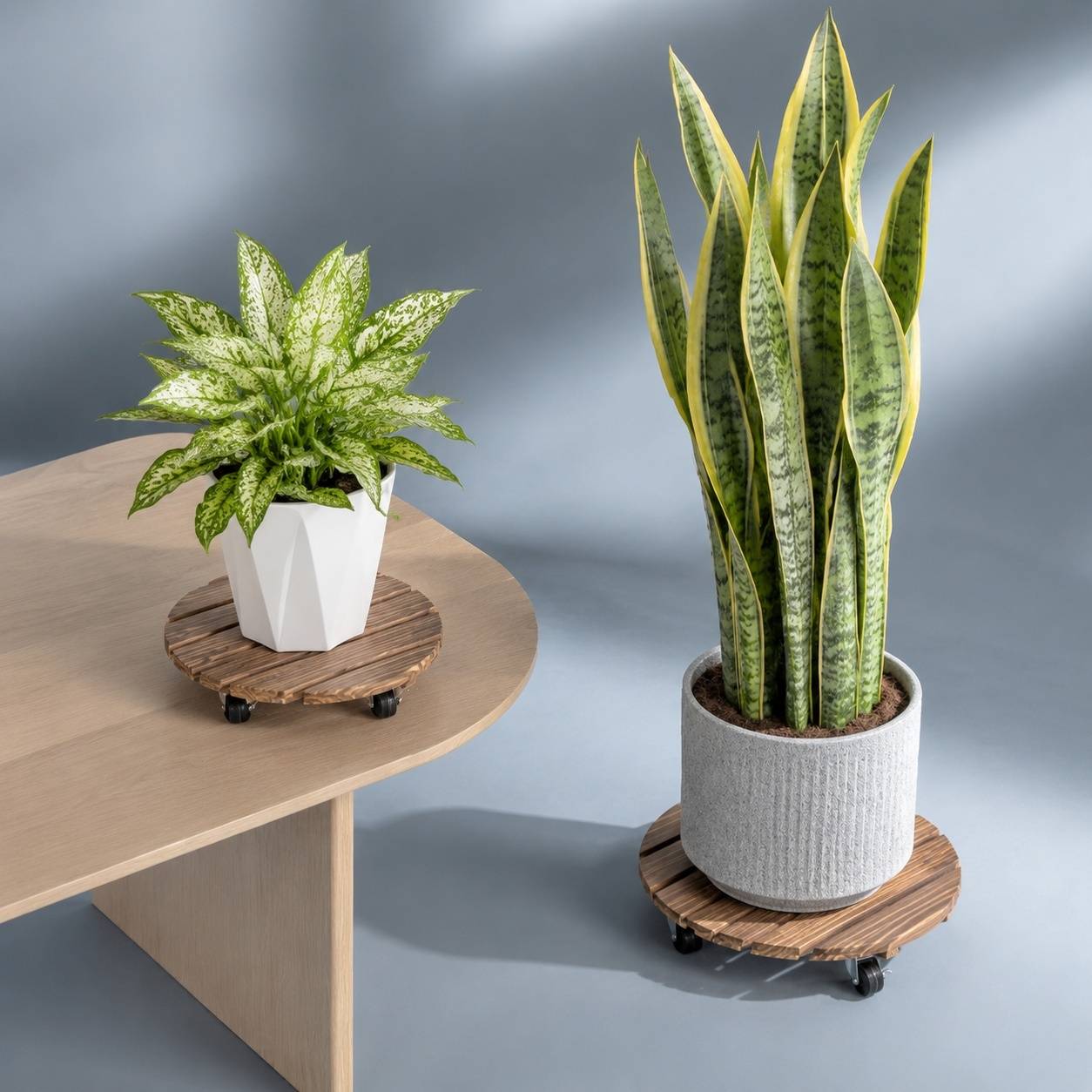 Lot de 2 Plateaux Roulants Plantes 30,5cm Roues pivotantes Verrouillables Capacité 100kg - Image 7