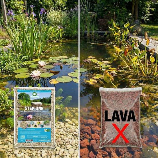 0 - Pack Bassin Indigène 1.500-3.000L - Oxygénantes & Berge - Nymphaea Alba Complet - Image 4