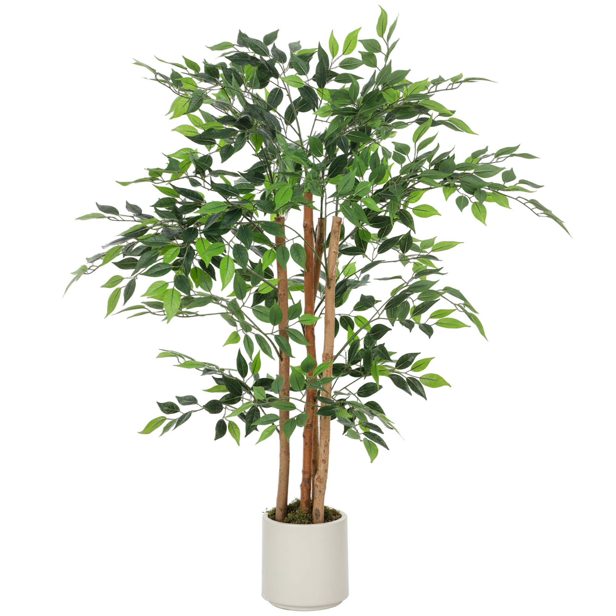 Sans Marque - Arbre artificiel de banian, plante artificielle avec tronc en bois massif, pot, pour salon, chambre, bureau, 55 x 55 x 120 cm, vert - Image 2