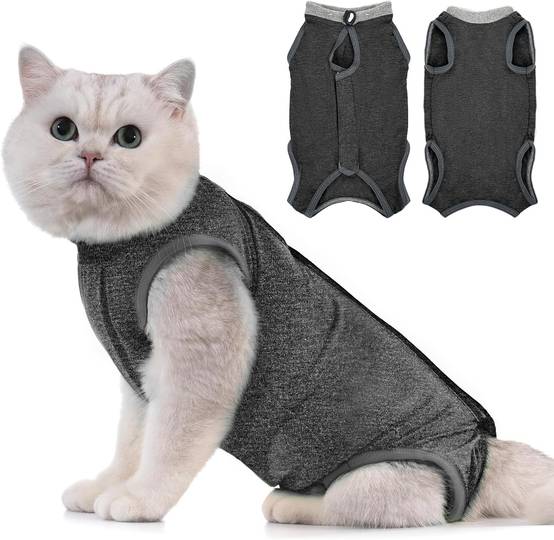 Combinaison de Récupération pour Chat Anti Léchage Gris L