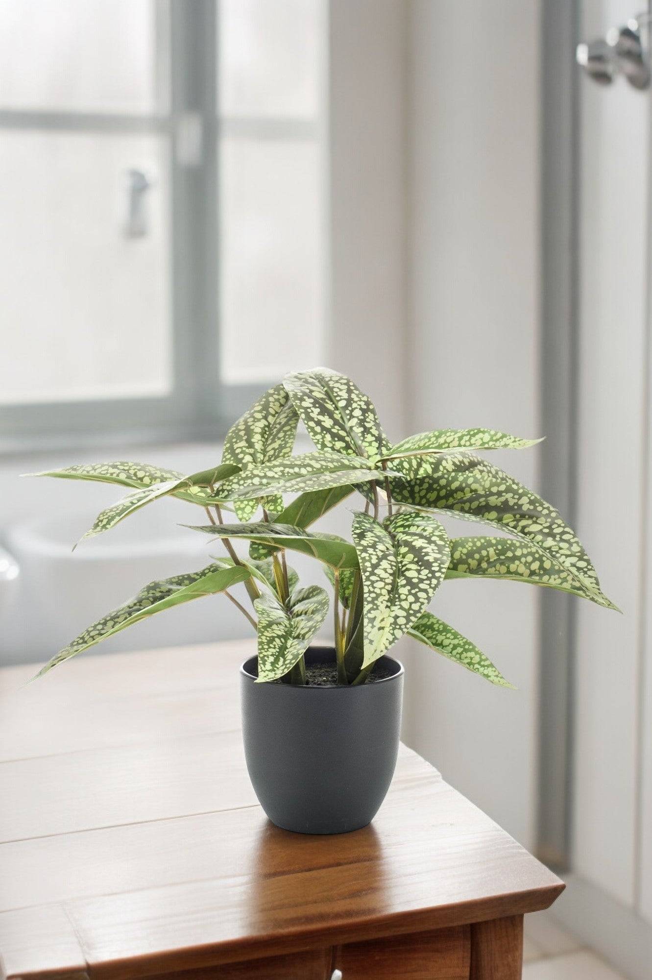 La Green Touch - Calathea Dots plante artificielle - h38cm, Ø15cm- La Green Touch - Imagen 1