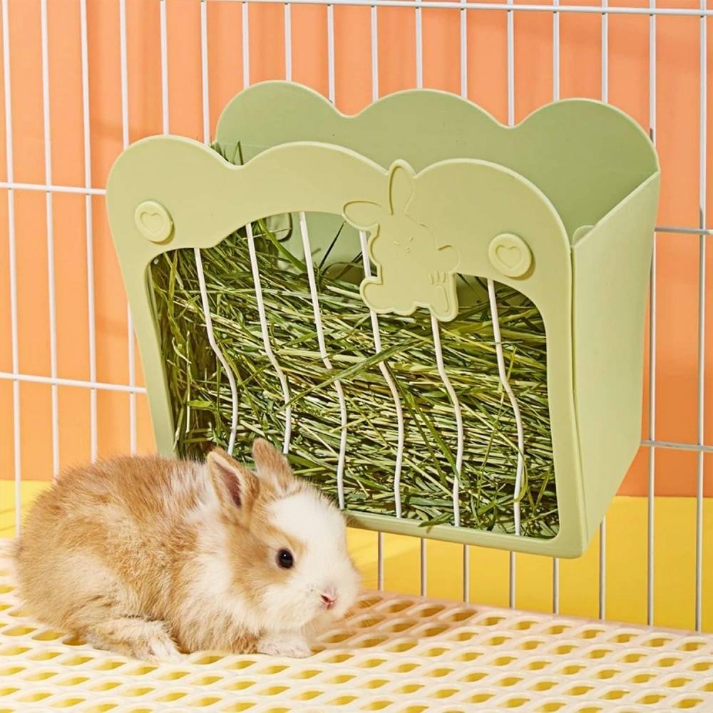 DtopbuyAge - Mangeoire pour lapin, lapin nain et cochon d'Inde DtopbuyAge - Image 1