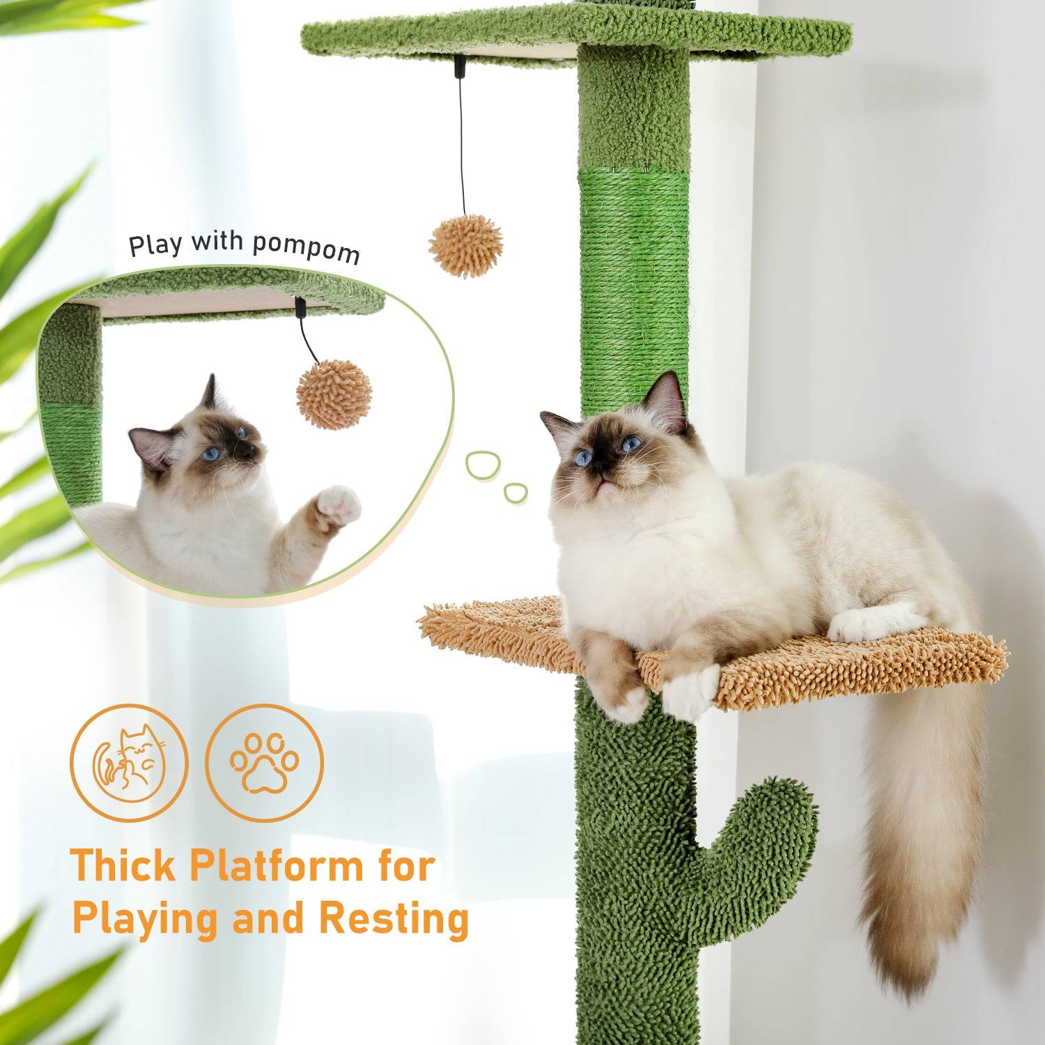 Arbre à Chat du Sol au Plafond avec 5 Niveaux Cactus PAWZ Road - Image 6