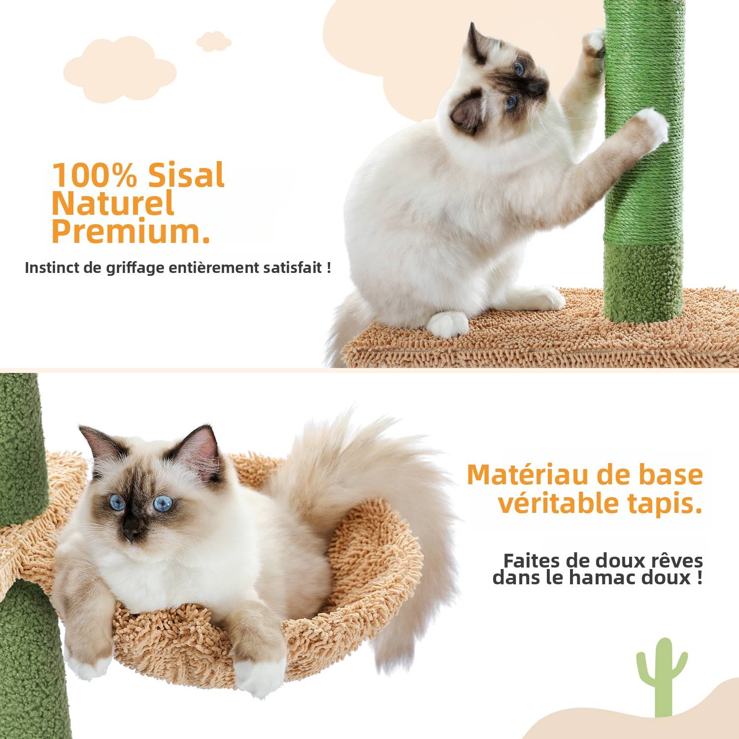 Arbre à Chat du Sol au Plafond avec 5 Niveaux Cactus PAWZ Road - Image 4
