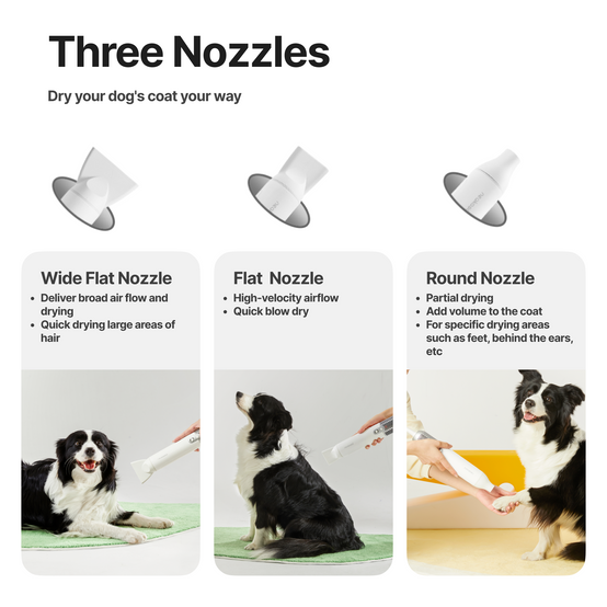 Neakasa F1 - sèche-cheveux portable pour chiens et chats - Image 2