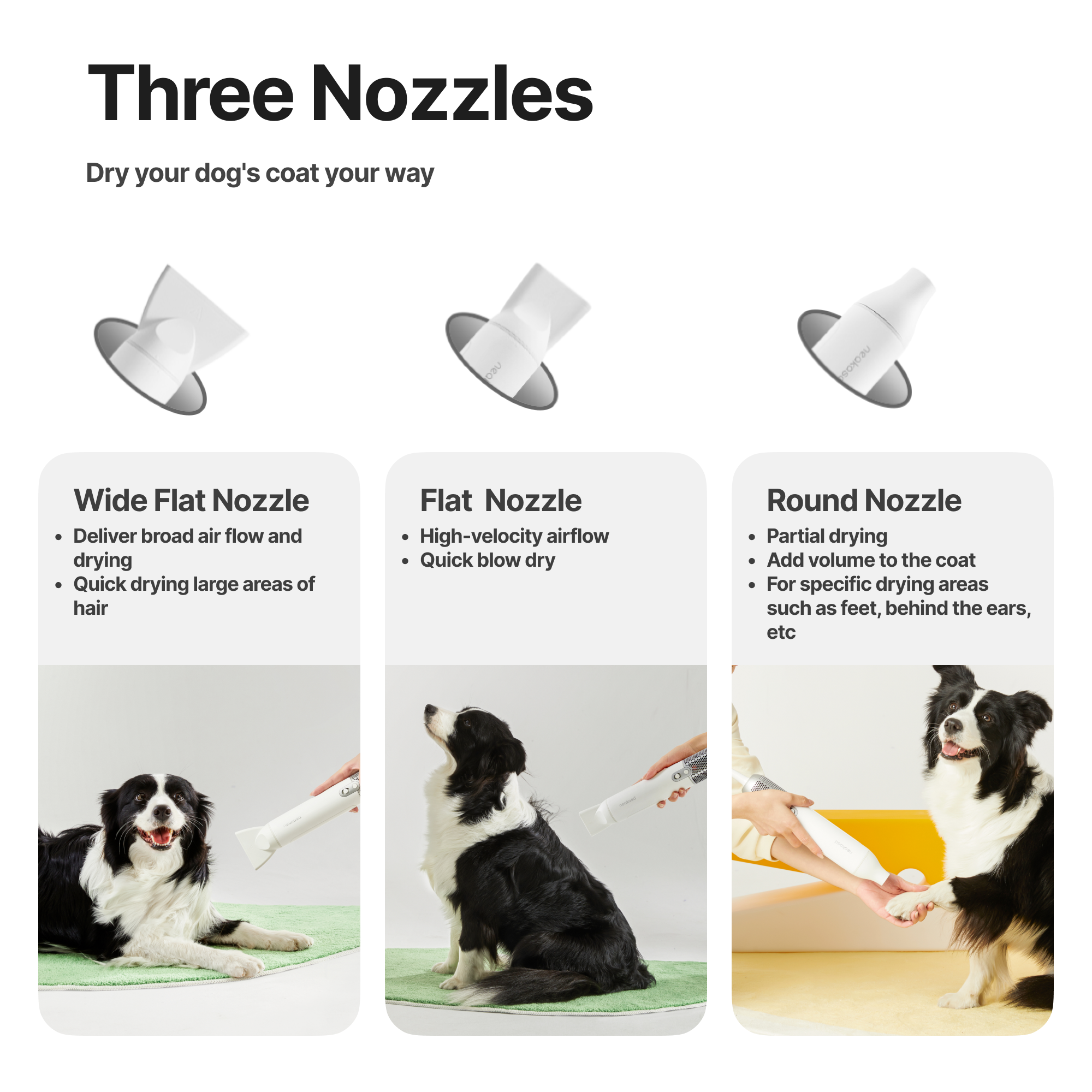 Neakasa F1 - sèche-cheveux portable pour chiens et chats - Image 2