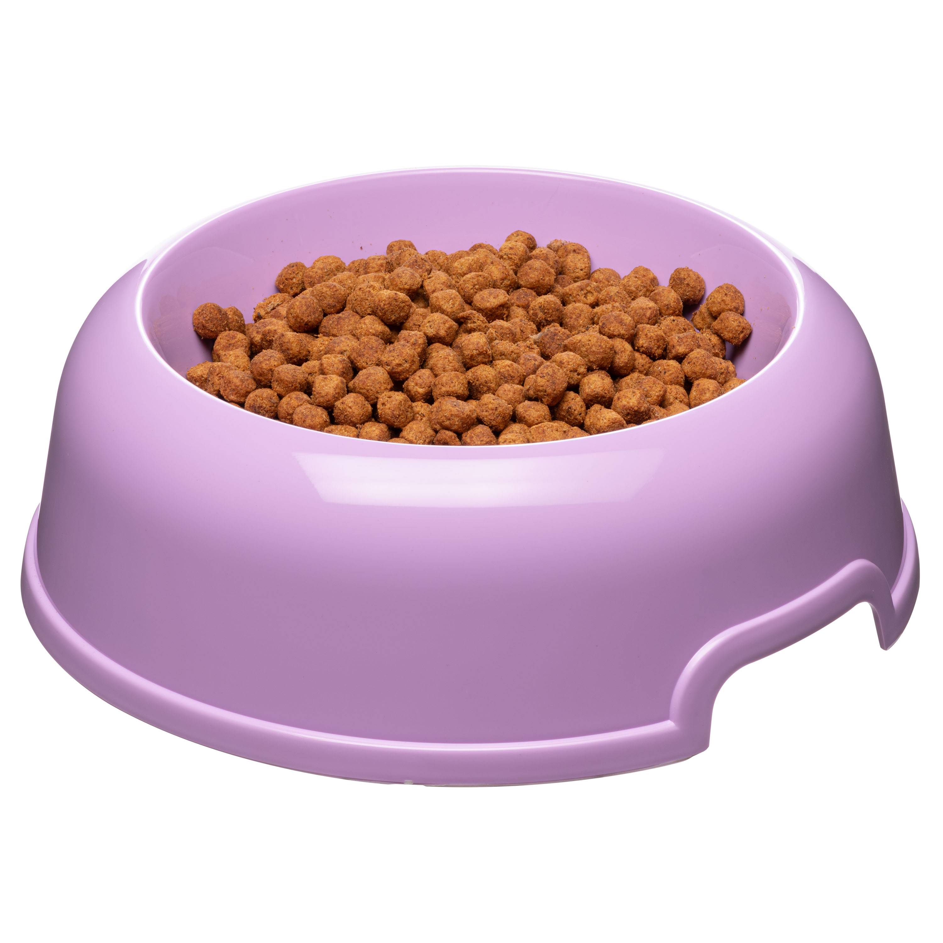 Ferplast - Ferplast Gamelle pour chien Party, antidérapante, facile à transporter, en plastique recyclé, durable, gamelle d'eau et de nourriture pour chien de - Imagen 2
