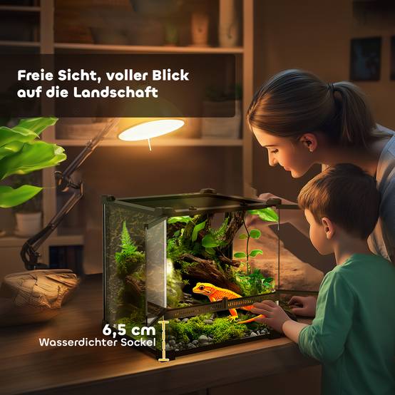 Terrarium en verre pour reptiles, fond surélevé et imperméable, fermeture à bouton - Image 9