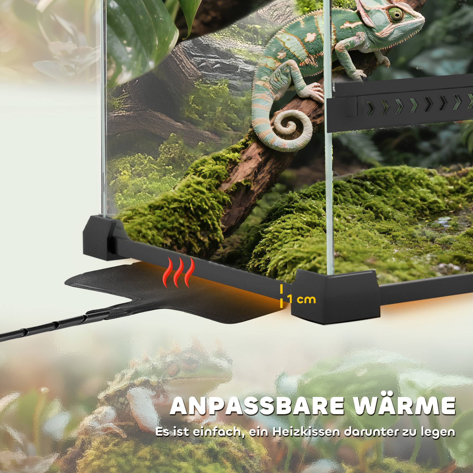 Terrarium en verre pour reptiles, fond surélevé et imperméable, fermeture à bouton - Image 10