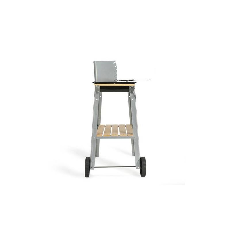 Livoo - Barbecue Charbon Livoo Doc244