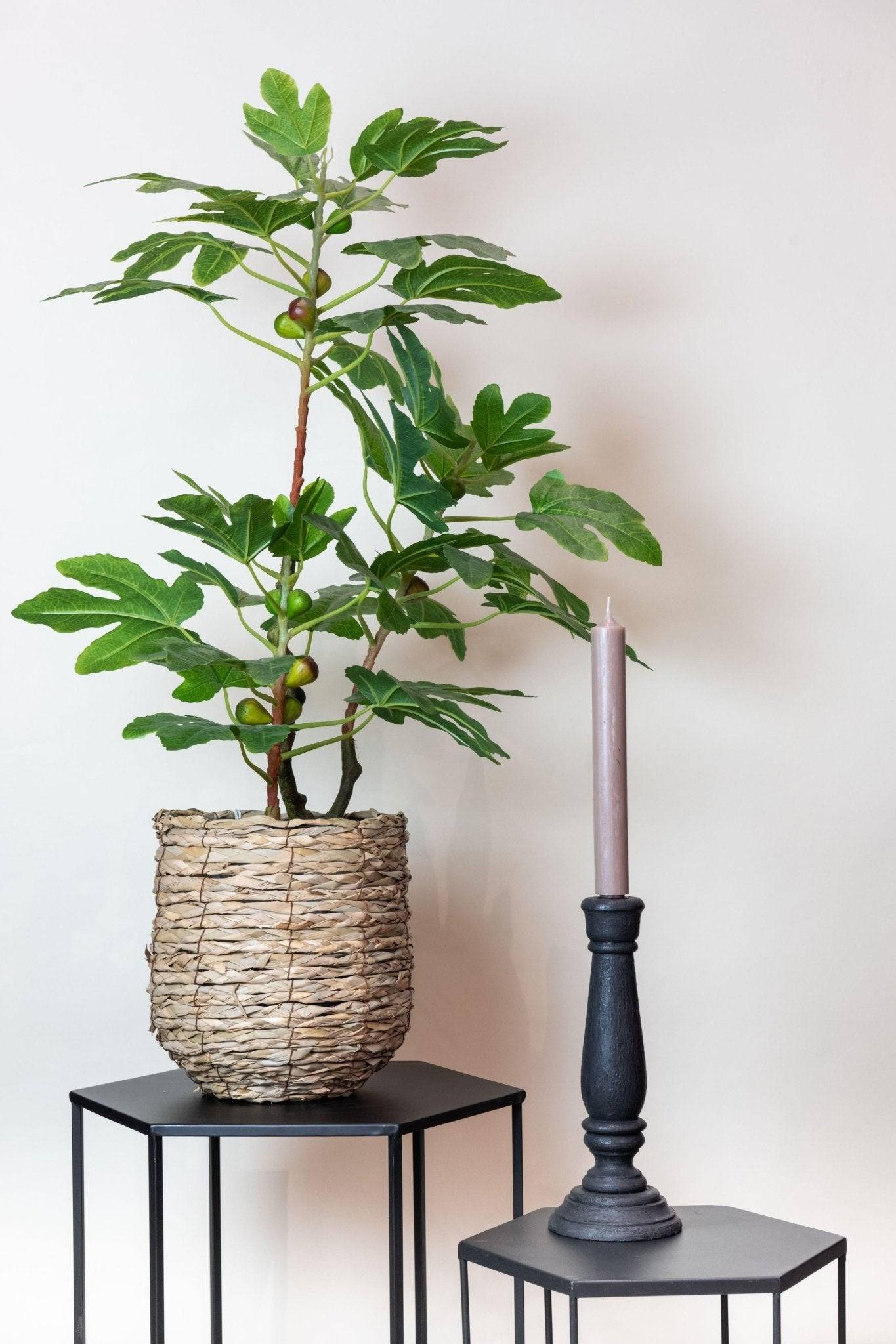 La Green Touch - Figuier plante artificielle h95cm, Ø12cm- La Green Touch - Imagen 3