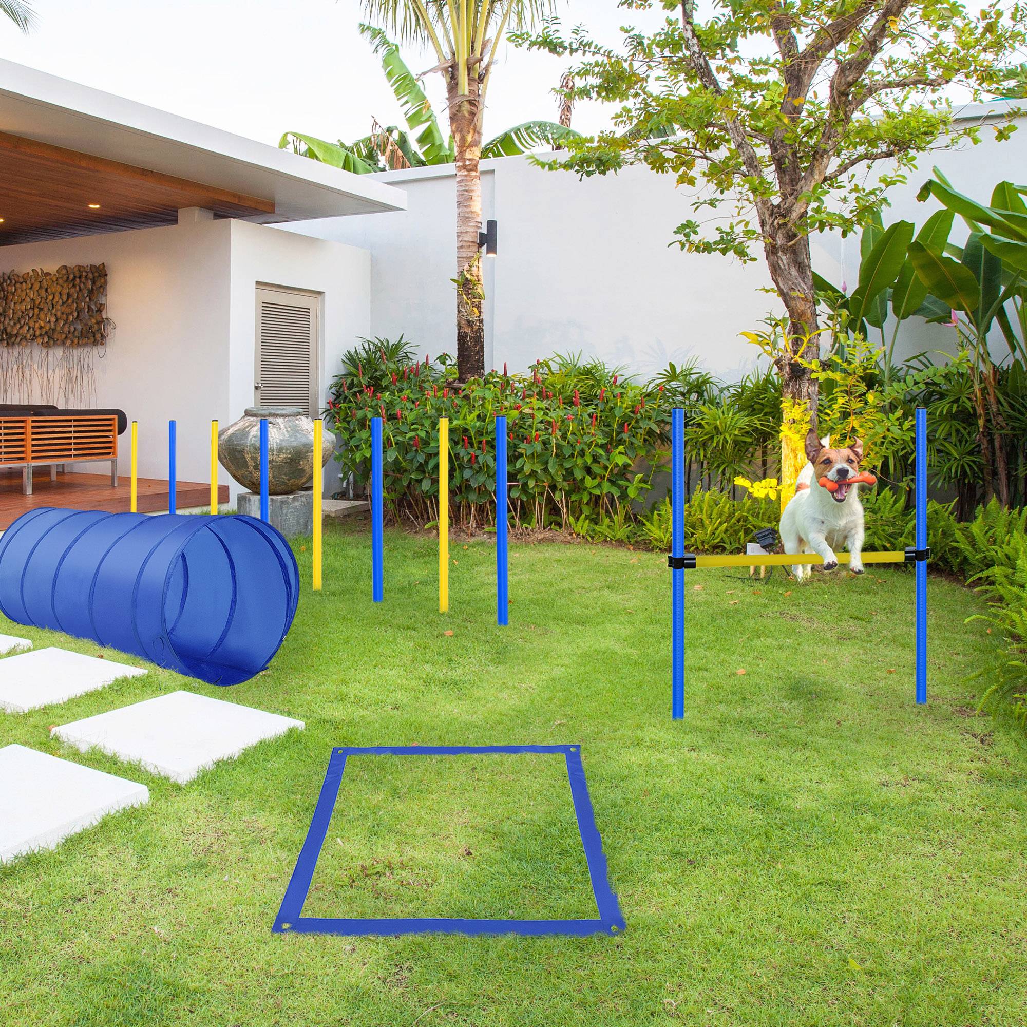 Kit d'agilité pour chien plastique jaune et bleu 60 x 60 x 148 cm - PANGIVO - Image 3