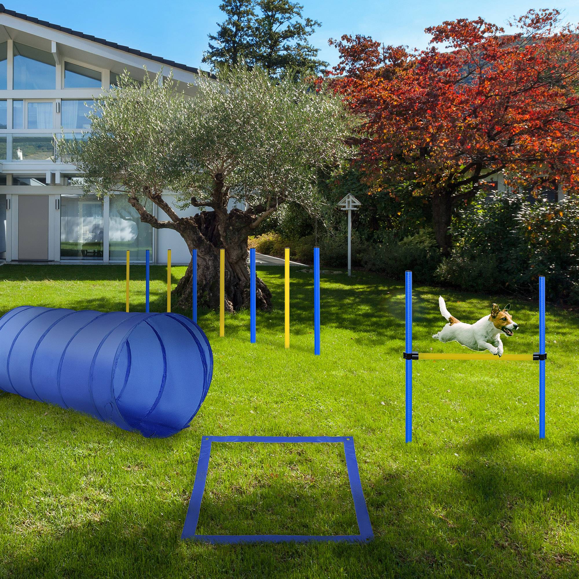 Kit d'agilité pour chien plastique jaune et bleu 60 x 60 x 148 cm - PANGIVO - Image 4