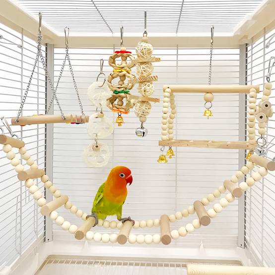 IntiMeg - lot de 8 Jouet en bois pour perroquet IntiMeg - Image 4