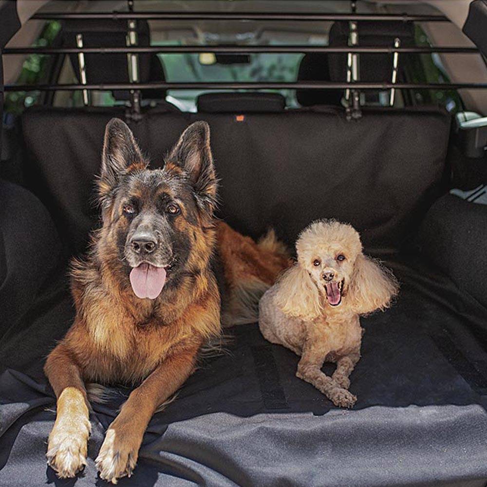 Ferplast - Séparation pour voiture DOG CAR SECURITY pour le transport de chiens, universel, en acier vernis - Imagen 4
