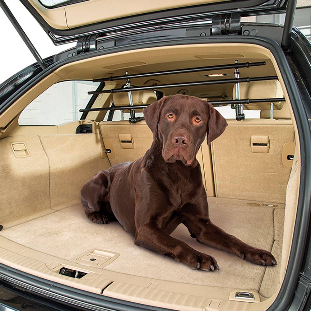 Ferplast - Séparation pour voiture DOG CAR SECURITY pour le transport de chiens, universel, en acier vernis - Imagen 7
