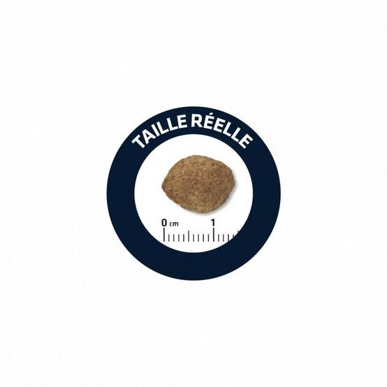 CROQUETTES CHIEN LIGHT MAXI - ADVANCE 12 kg - Image 2