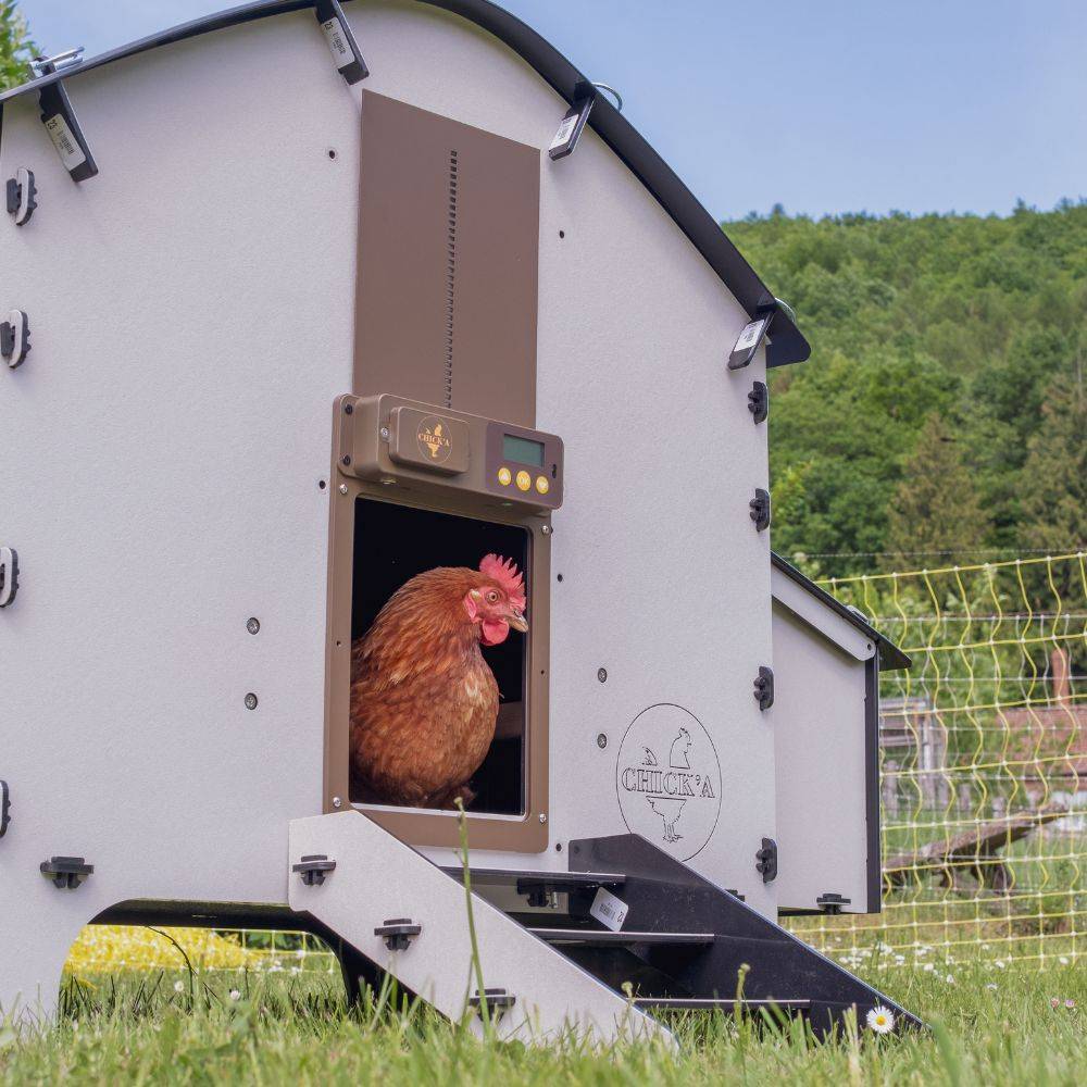 Chick'a - Poulailler Harmony en plastique recyclé pour 6 poules Harmony - Chick'A - Image 2
