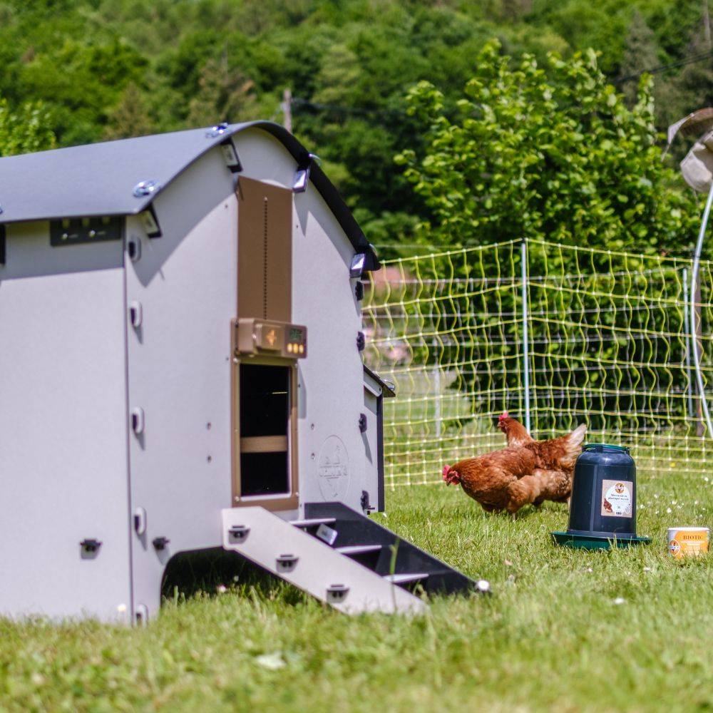 Chick'a - Poulailler Harmony en plastique recyclé pour 6 poules Harmony - Chick'A - Image 6