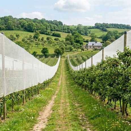 Plastidis - Filet Brise-vent - ombrage Blanc- 106gr/m² - Long 10 m, Larg 3 m - Imagen 3