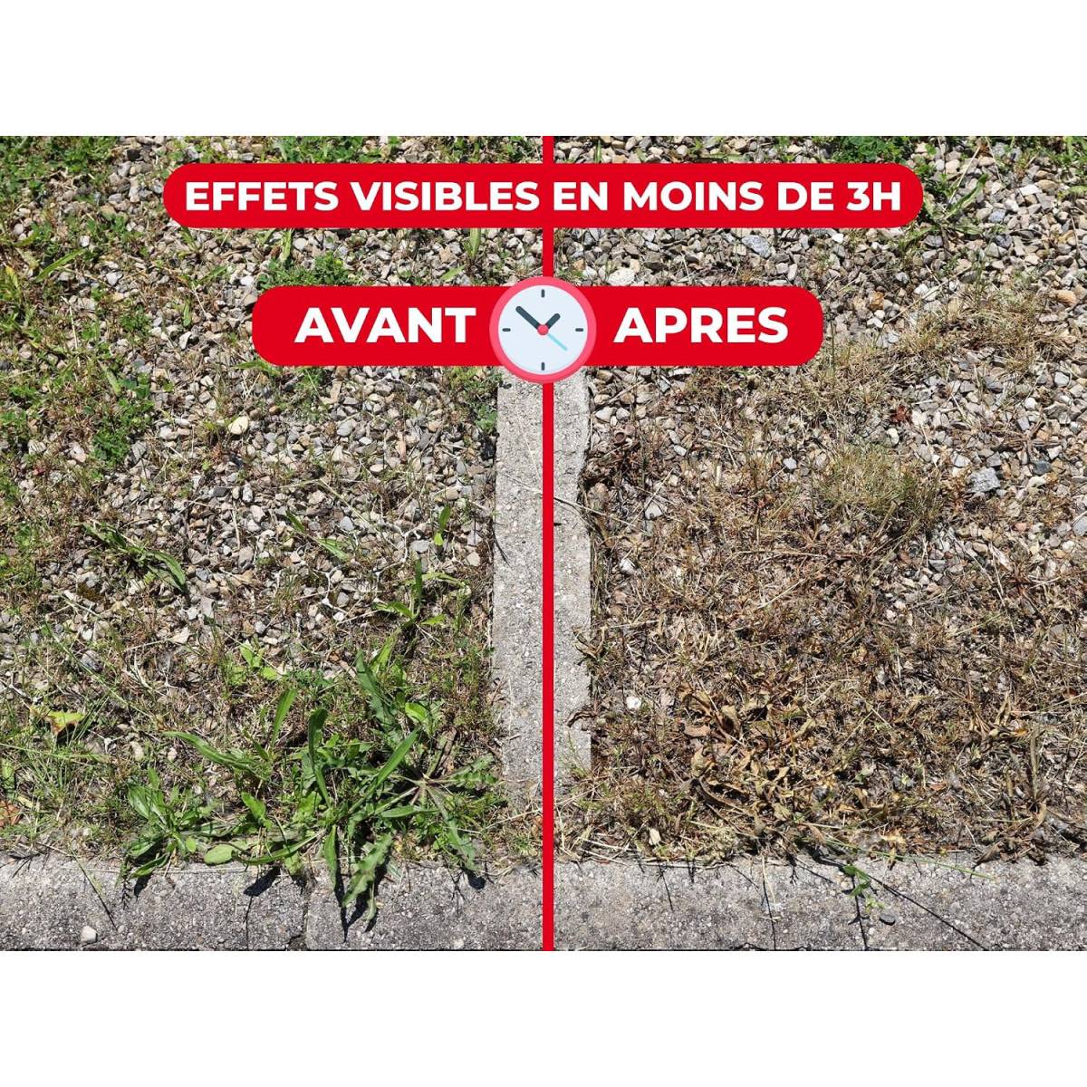 0 - Désherbant Anti-Mauvaises Herbes et Mousses | Spécial - Cours, Allées, Terrasses | Ultra-concentré 400 ml - Image 6
