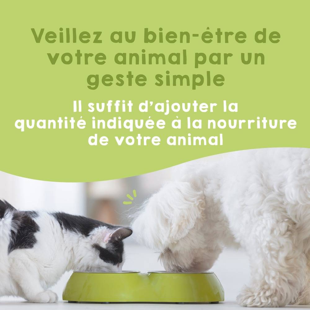 Probiotique Naturel pour Chien et Chat - Aide avec le Diarrhée et Renforce le Système Immunitaire - MAIKAI - Image 5