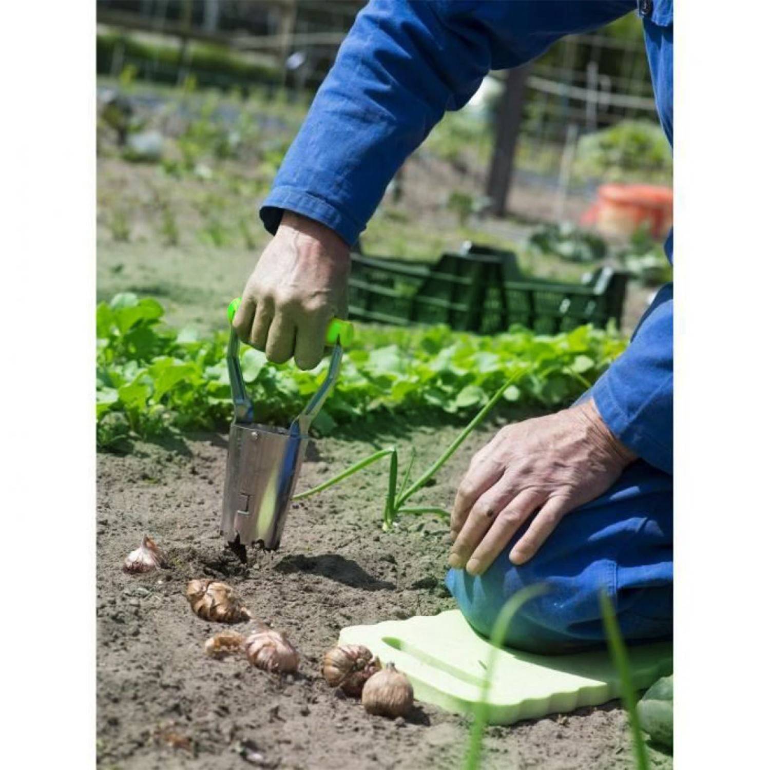 Plantoir à Bulbe, oignons - BMI Jardinage - Automatique - Poignée Réglable - Image 2