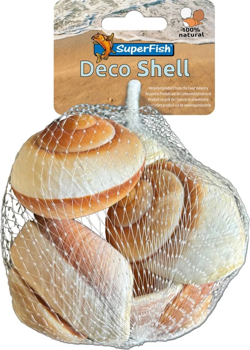 Superfish - Coquille escargot brun-blanc décorative 200 g - SUPERFISH