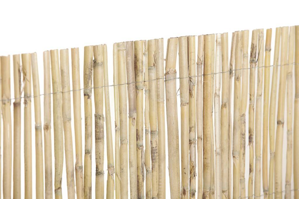 Nortène - Canisse de roseaux fendus, tiges moyennes - Naturel - 1x5m Nortene - Image 2