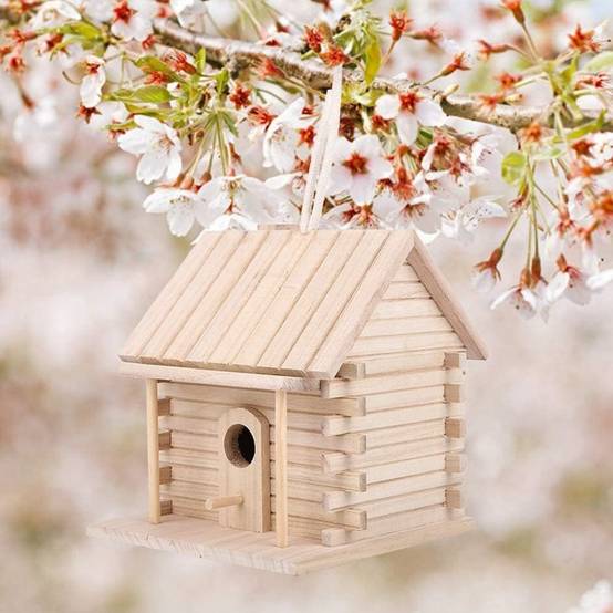 Maison en bois pour oiseaux d'extérieur DtopbuyAge - Image 2
