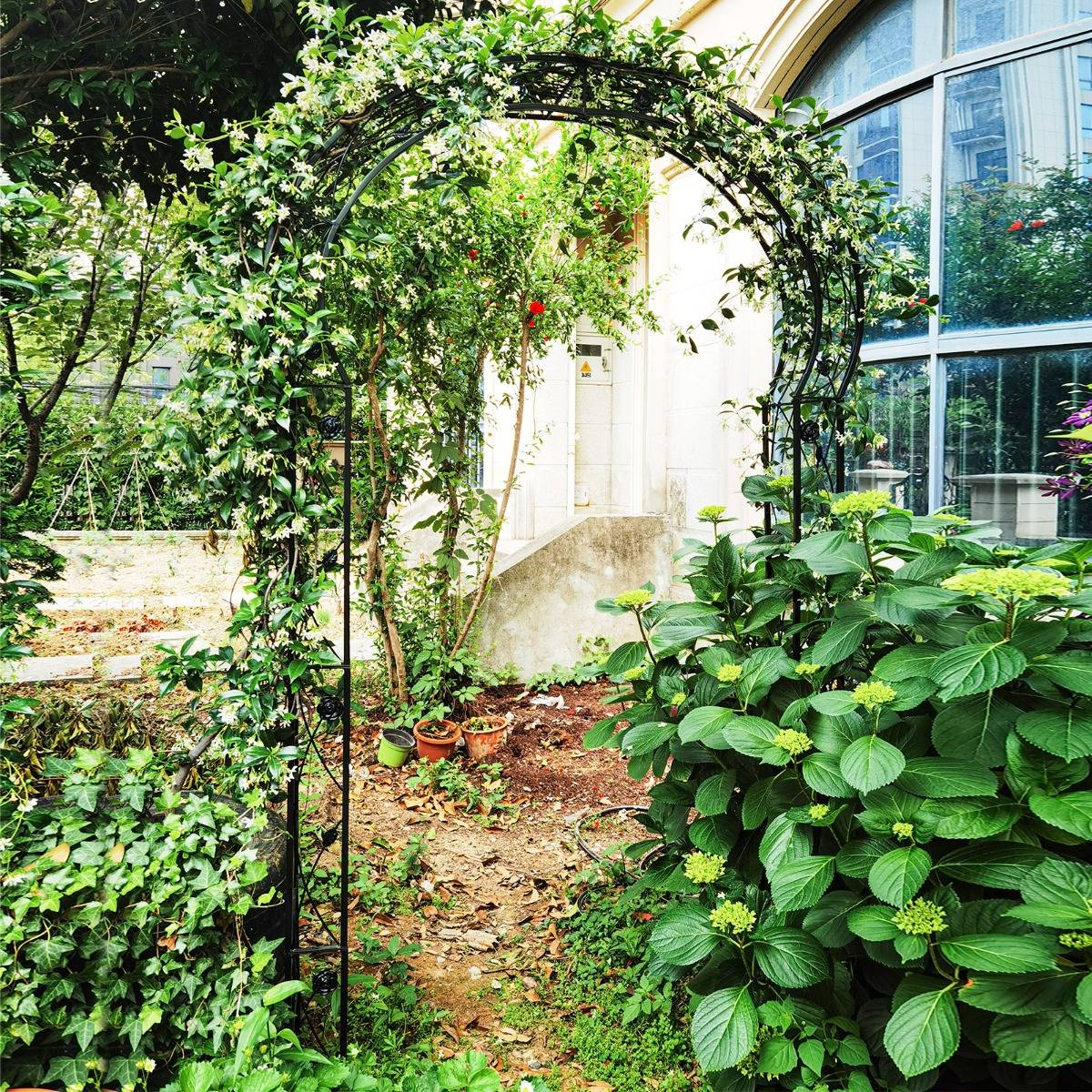 Arche de Jardin Métal Treillis de Jardin en 2 Demi-arcs Extérieur 150x39x250CM Noir - Image 5